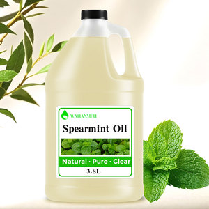 Extrait de menthe verte, huile essentielle de menthe, fourniture d'usine, huile essentielle naturelle pure pour cosmétiques - Product Image 5