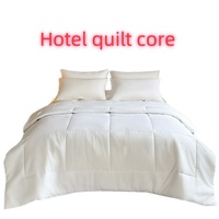Ensemble de couette moderne en microfibre garnie de polyester, 1 pièce, blanc, couette d'hôtel pour lit plat avec motif tissé, écologique, pour usage domestique