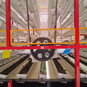 Grande ferme modulaire intégrée en conteneurs, automatisée et à entraînement par chaîne, conçue en usine pour l'agriculture urbaine - Product Image 3