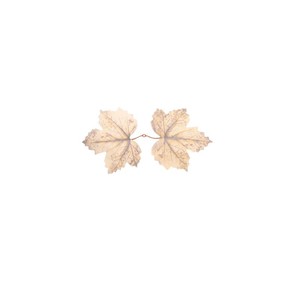 XINYUE Hojas de Arce Artificiales de 10cm-30cm, Decoraciones de Seda para Halloween, Accesorios para Bodas y Hogar - Product Image 2