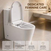 WC intelligent à poser au sol certifié CE, avec bidet intégré, sans bride, à chasse directe, siphon S/P, réservoir d'eau, pour projets, vente en gros directe usine