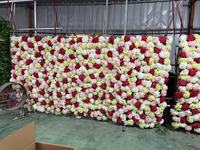 Mur de fleurs artificielles B&B Terrace - Coin check-in pour influenceurs