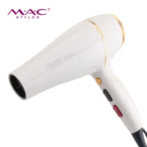 Super Motor Fashion New High Power 2200W Low Noise Fast Drying Custom Private Label Lightweight Design Salon Hair Dryer