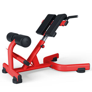 Chaise romaine robuste avec cadre en tube d'acier ovale épais, banc d'extension dorsale stable pour la gym - Product Image 4