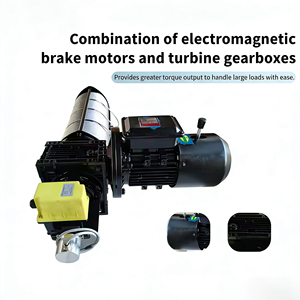 כננת חשמלית לבמה 220v, כננת חשמלית לתכנות PLC לבידור, כננת חשמלית עם מקודד ומגביל - Product Image 3