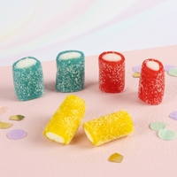 Bonbons Gommeux Arc-en-ciel Mini Sour Pencil Bites - Morceaux de réglisse fourrés aux saveurs de fruits assortis, Vente en gros de bonbons gommeux en vrac pour enfants
