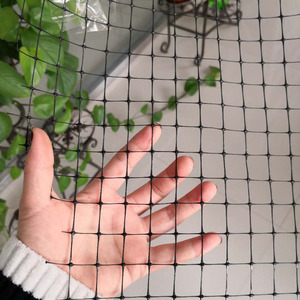 <span class=keywords><strong>Malla</strong></span> de Protección <span class=keywords><strong>para</strong></span> Animales, Pollo, Jardín, Agrícola, de Plástico PP Transparente, Anti-Granizo, Geogrids, Venta al Por Mayor - Product Image 4