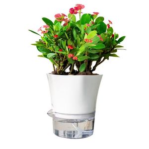 Pot de fleurs auto-arrosant transparent et simple pour l'intérieur, hydroponique, <span class=keywords><strong>sans</strong></span> <span class=keywords><strong>arrosage</strong></span> requis, avec design visible - Product Image 6