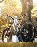 Электровелосипед Amflow Avinox Drive Amflow PL Carbon 800 Втч с ANT+ и Bluetooth (модель 2026 года)