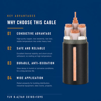 Câble en cuivre à 4 conducteurs pour la construction électrique, norme GB privilégiée, vente directe usine