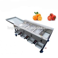 Automatische Plantaardig Fruit Gewicht Aardappelui Tomaat Knoflook Oranje Appel Sorteermachine