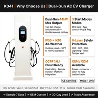 Cargador de CA para vehículos eléctricos trifásico de 220V/380V y 44kW con doble salida, tipo pedestal, cable de 2x5m, energía inteligente