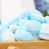 Bulk Sugar-Free Mint Fruit Flavored Candy Cool Pure Fresh Breath Pressed Tablet Bottle 6 Bottles