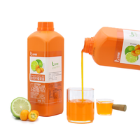 Oem Odm Pure Sweet Fruit Flavor Jam for Multiple Use with Plastic Bottle