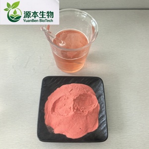 Il Produttore Fornisce Polvere di Succo di Fragola di Alta Qualità e Salutare. - Product Image 5