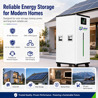 Batterie de stockage d'énergie domestique LIRVO 30 kWh 14 kWh 51,2 V 314 Ah LiFePO4 solaire pour système BMS et réseau, 8000 cycles – Fabricant d'usine