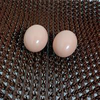 Système automatique de nidification pour poules, coussinets de nidification pour poules, lot de 20 coussinets de nidification pour oiseaux