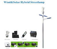 Système d'énergie hybride solaire et éolienne à axe horizontal, éolienne solaire photovoltaïque, générateur d'énergie éolienne pour éclairage public 100W-500W