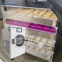 Mini lyophilisateur domestique sans pompe à huile, lyophilisateur automatique 4-8 kg pour la transformation alimentaire en lot (bonbons, lait, viande, fruits, légumes)
