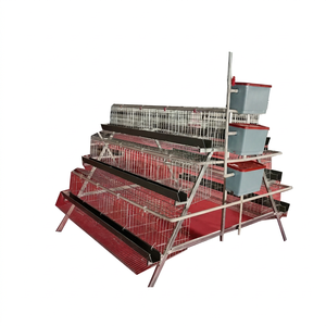 Jaula para aves de corral tipo A de 4 niveles para 200 aves con cinta recolectora de huevos automática y sistema de secado de estiércol para uso en granjas de gran capacidad - Product Image 1