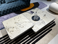 Table Basse en Pierre Naturelle de Luxe avec Écran Décoratif Paon Blanc et Style Marbre – Collection Haut de Gamme pour Salon
