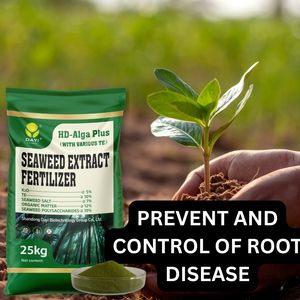 Engrais en poudre à base d'extrait d'algues pour le contrôle des maladies racinales, l'amélioration des sols, organique avec oligo-éléments - Product Image 3