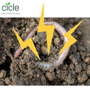 茶サポニン粉末100% 天然茶サポニン60% 茶種子サポニン - Product Image 2