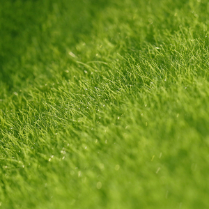Mini-herbe artificielle pour décorations paysagères, fausse prairie, écosystème en bouteille, accessoires de bricolage en plastique - Product Image 2