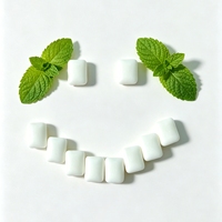Chewing-gum énergétique sans sucre avec extrait de guarana, saveurs menthe et café, OEM, marque privée