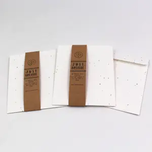 Bán buôn tùy chỉnh đóng gói phong bì 100% có thể tái chế phân hủy sinh học hạt giống giấy phong bì