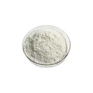 Wholesale Nano Titanium Dioxide Powder CAS 13463-67-7 TiO2 Nanoparticles Coatings TiO2 Powder