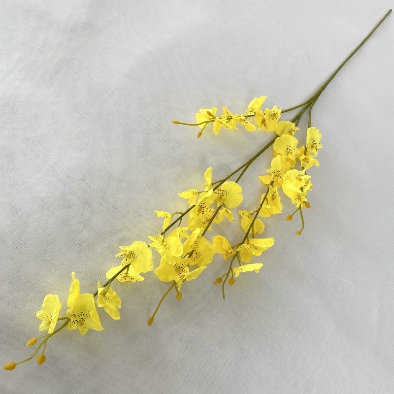 เต้น5ส้อม-กล้วยไม้ผู้หญิง