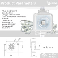 Guirlande lumineuse à LED RGBW haute luminosité 30 mm WS2811 DC24V/36V IP68 120 °   Pour la décoration permanente des fêtes en plein air et des toits