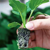 Jardin Abeille Plante Croissance Tourbe Noix De Coco Graine Démarrage Granulés De Coir Bloc De Pépinière Smart Coco Tourbe Mousse Bloc de sol avec Nutrition