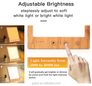 Đèn Buồn 10000Lux Hộp Đèn LED Đèn Trị Liệu Ánh Sáng Đỏ Cầm Tay Trị Liệu Ánh Sáng Ban Ngày Cho Trầm Cảm Theo Mùa - Product Image 6