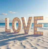 Nouvelles lettres lumineuses géantes de 18 pouces, 3 pieds, 4 pieds, 5 pieds, lettres lumineuses pour fête, chiffres lumineux pour fête, décoration pour baby shower, mariage, LOVE MARRY ME