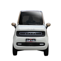 Mini voiture électrique à moteur 3000W certifiée EEC Véhicule à quatre roues à énergie nouvelle entièrement fermé avec lumières LED
