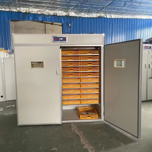Couveuse Populaire de 4000 Œufs, Machine d'Éclosion de Ventes - Product Image 3