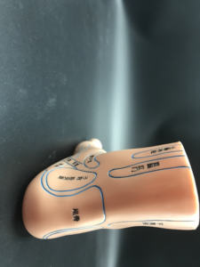 पैर एक्यूपंक्चर बिंदु एनाटॉमी मॉडल पर्यावरण के अनुकूल pvc प्लास्टिक चीनी चिकित्सा शिक्षण उपकरण कक्षा I - Product Image 3