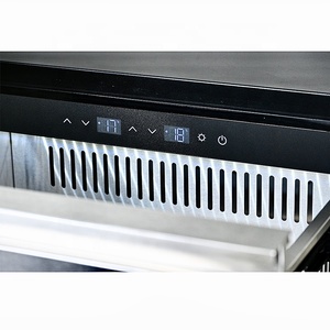 Bán buôn thép không gỉ ngoài trời uống bia undercounter tủ lạnh với hai ngăn kéo - Product Image 5