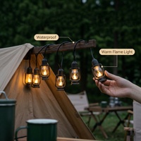 LED Decoratieve Lichtslingers G40 ST38 Edison Bubble S14 Lamp IP65 Kerosinelamp Waterdicht voor Buiten Bruiloft Feest Sfeer