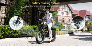 Bicicleta Eléctrica Plegable KOOLUX X8 con Marco de Hierro y Batería de Litio, Velocidad Máxima 25 km/h, Motor de 250 W en la Rueda Trasera, Neumático Grueso de 20 Pulgadas, 6 Velocidades - Product Image 2