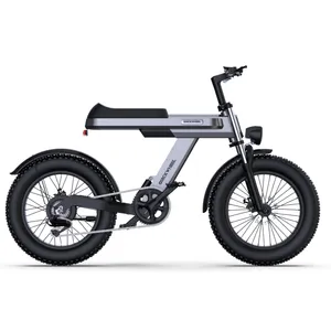퀵휠 창고 전기 자전거 자전거 디스플레이 전기 자전거 판매 Eu Usa 독일 접이식 전기 자전거 키트 인도