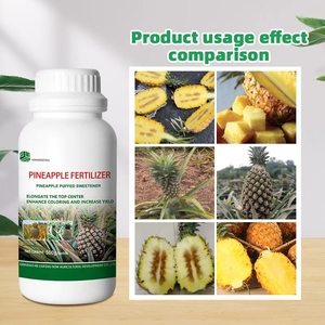 Fertilizzante organico ad alto rendimento per ananas liquido dolcificante e agente di gonfiore specifico per ananas - Product Image 3
