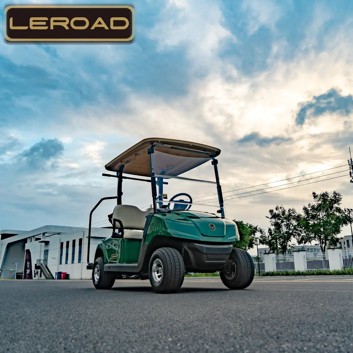 Carrello da Golf LEROAD Forest Green L2 tipo classico carrello da Golf elettrico alla moda di buona qualità