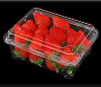 Emballage blister transparent en plastique avec boule de chocolat pour gâteau alimentaire personnalisé avec 20 trous boîte transparente à la fraise et à la truffe