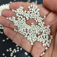 Granulés de polyétheréterkéton (PEEK) de haute qualité pour applications automobiles, médicales et électroniques