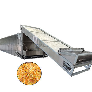 Séchoir à bande maillée haute efficacité pour fruits, machine de séchage à bande maillée pour tranches de mangue, machine de séchage pour tranches d'orange - Product Image 1