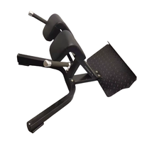 SENFENG SPORTS Hyper Back Extension Gym Banc Machine Commercial Gym Fitness Equipment
