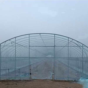 <span class=keywords><strong>Serre</strong></span> de film PE économique pour la culture de légumes <span class=keywords><strong>Serre</strong></span> agricole à tunnel unique - Product Image 6